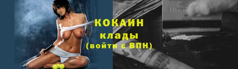 где купить наркоту  shop клад  КОКАИН FishScale  Кукмор  hydra как зайти 